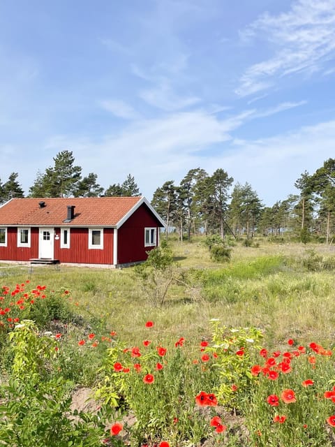 Property building, Spring, Natural landscape, Garden view