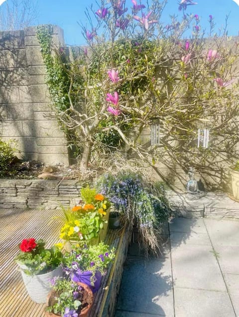 Quiet Room in Wexford with Local Charm Vacation rental in Ireland