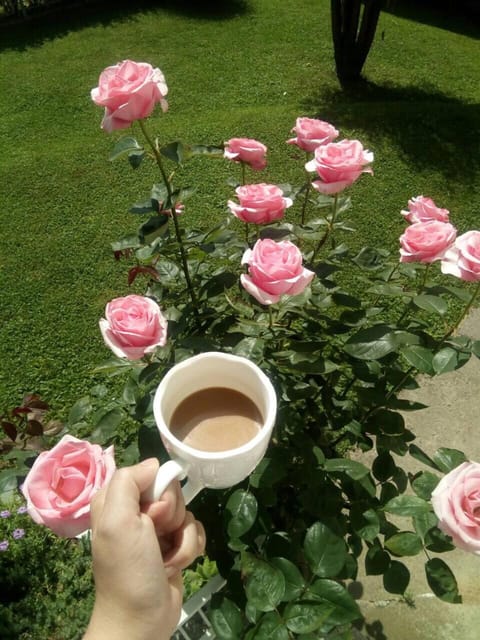 Apartment Elma Apartment in Federation of Bosnia and Herzegovina