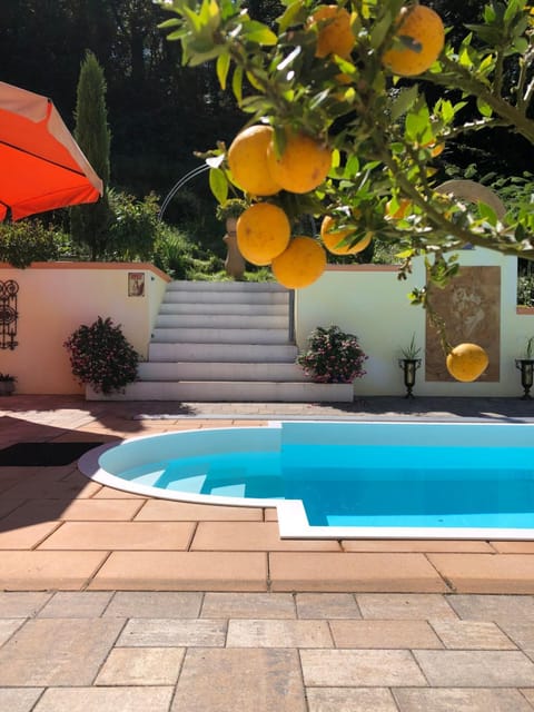 Pool view, Swimming pool, Swimming pool