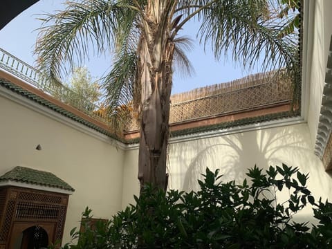 Property building, Garden, Garden view
