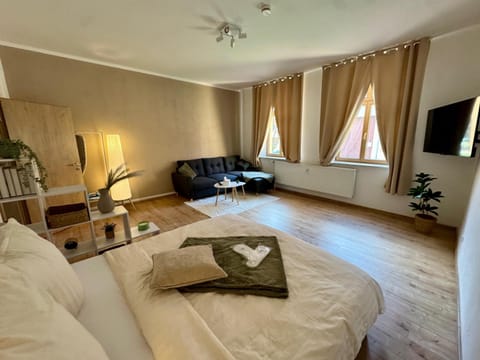 Bed, TV and multimedia, Living room, Photo of the whole room, Seating area, Bedroom