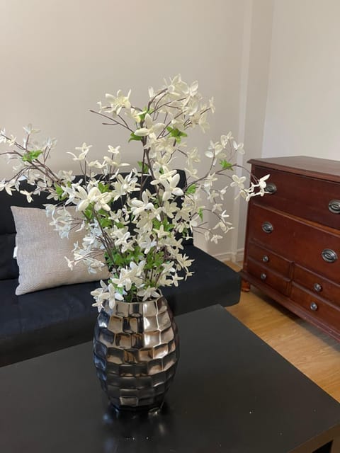 Stay in Somerset Apartment in Gatineau