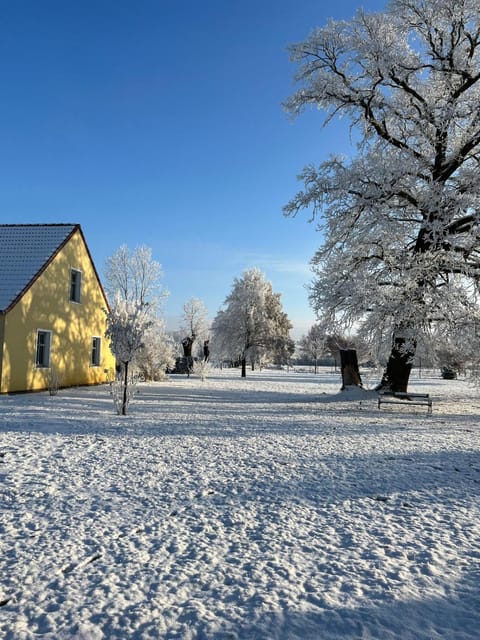 Property building, Winter