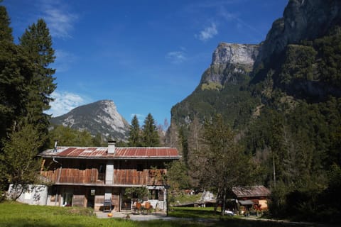 Property view