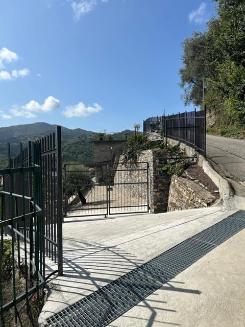 Day, Neighbourhood, Mountain view