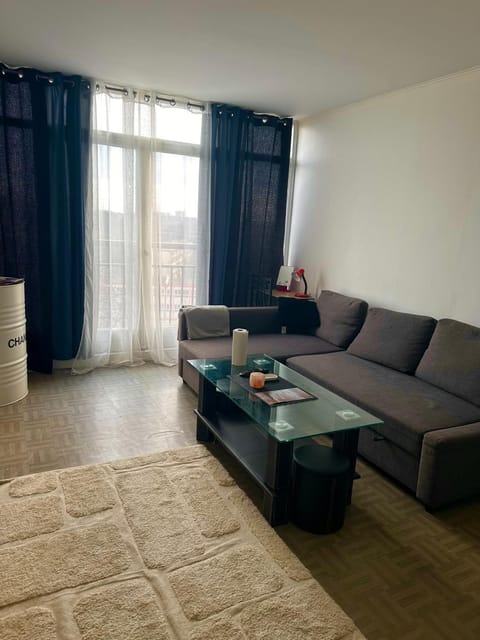 Apartament spațios și luminos Apartment in Île-de-France