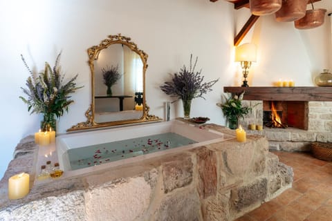 Hot Tub, Living room, Photo of the whole room, fireplace