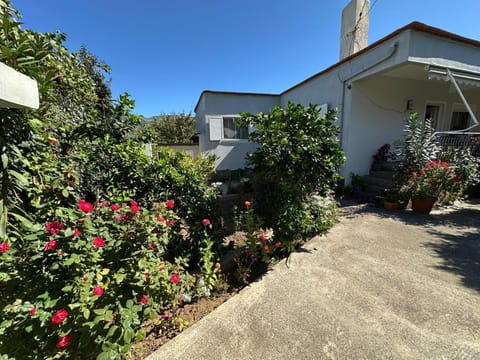 Property building, Garden, Garden, Garden view