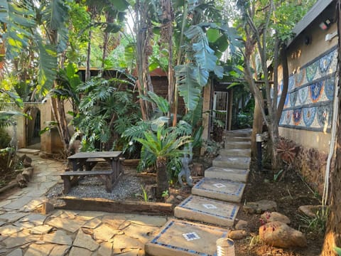 Garden view