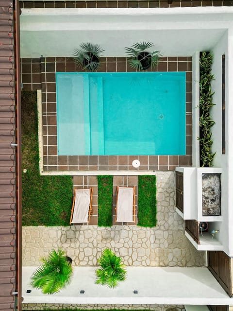 Garden, Pool view, Swimming pool