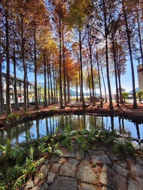 Natural landscape, Lake view