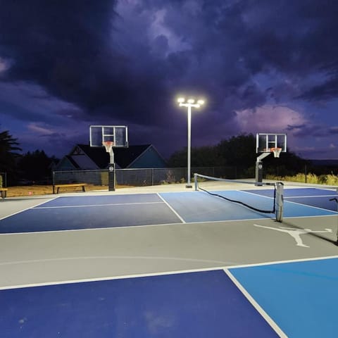 Monster of a House With Theatre, hot tub, and more House in Garden City