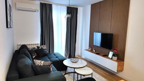Communal lounge/ TV room, TV and multimedia, Living room, Seating area, Evening entertainment, air conditioner