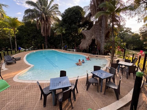 Day, People, Garden, Garden view, Pool view, Swimming pool, group of guests, sunbed