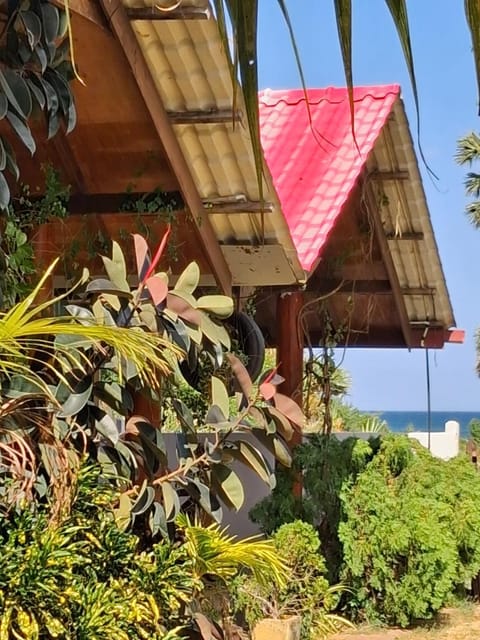 Property building, Beach, Beach