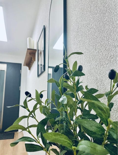 Stella Apartment in Speyer