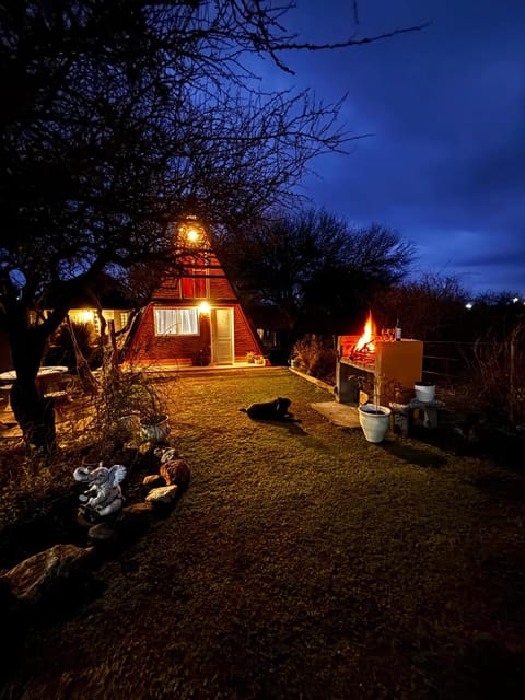 Property building, Night, Garden