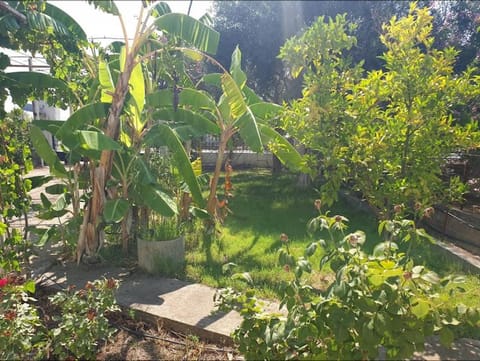 St Andrews Seafront Appartement House in Messenia