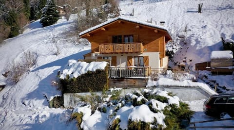 Aubier Confort Spa Chalet Domaine du Fraizier Chalet in Haute-Savoie