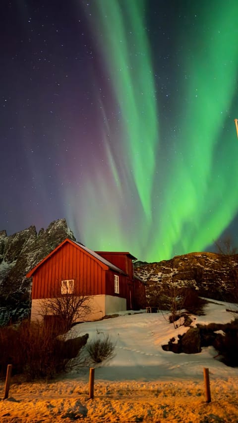 Fishermans Villa Ballstad - Lofoten House in Lofoten