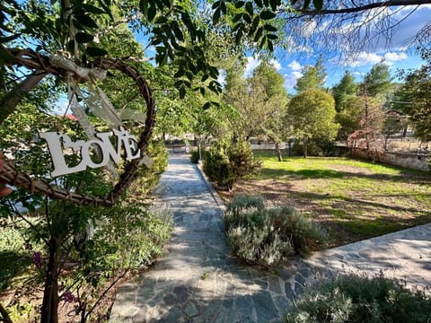 Natural landscape, Garden view