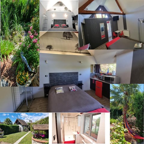 Property building, Garden view