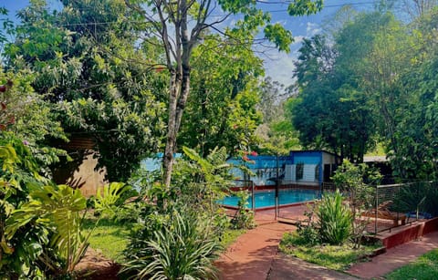 Natural landscape, Garden, Swimming pool
