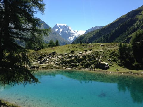 Day, Natural landscape