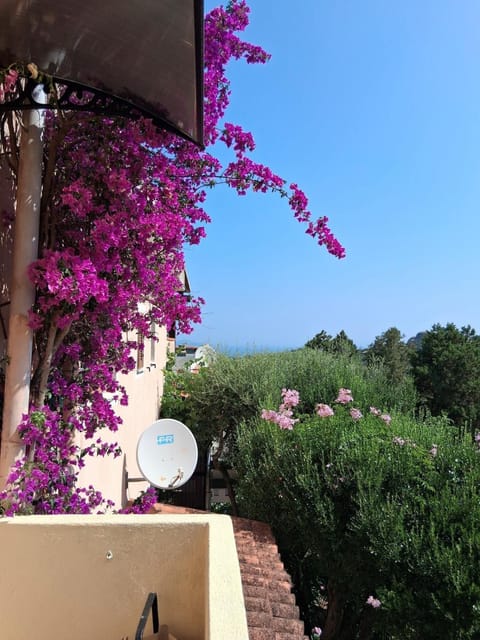 View (from property/room)
