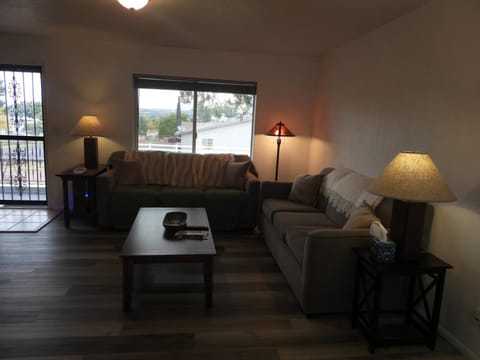 Living room, Photo of the whole room