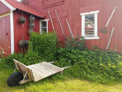 Facade/entrance, Summer, Garden, Decorative detail, On site