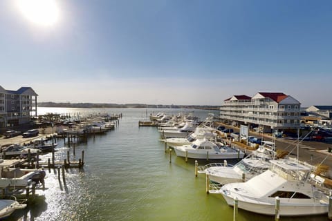 White Marlin 308B Apartment in Ocean City