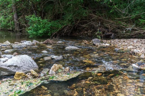 Two houses, 8 bedrooms, 4 King beds, 7400 sq ft House in Fayetteville