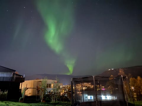 Night, Natural landscape