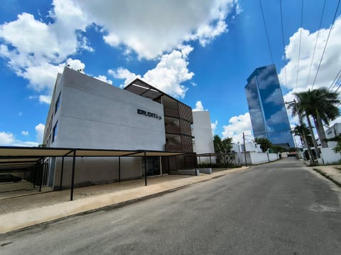 Property building, Day, Neighbourhood, Street view