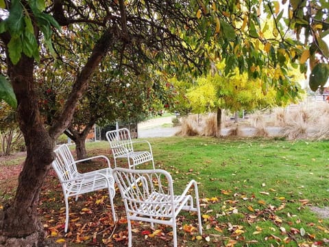 Spring, Natural landscape, Garden, Garden view