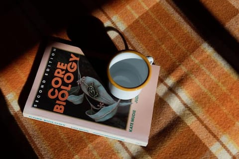 Panorama Cabin - A Cabin in Bicheno