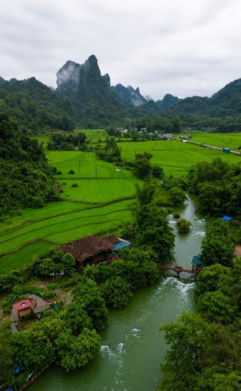 Natural landscape