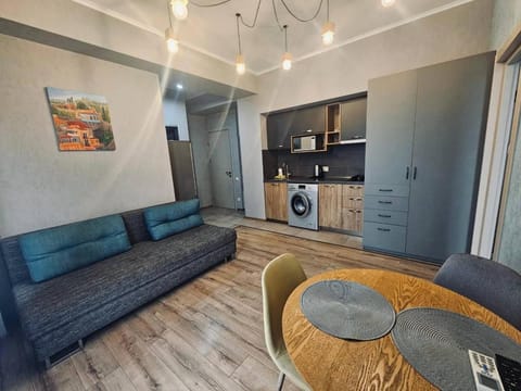 Kitchen or kitchenette, Living room, Seating area, Dining area, microwave, stove, stove, washing machine, washing machine, kitchen, kitchen