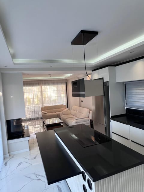 Kitchen or kitchenette, Living room, fireplace, fireplace