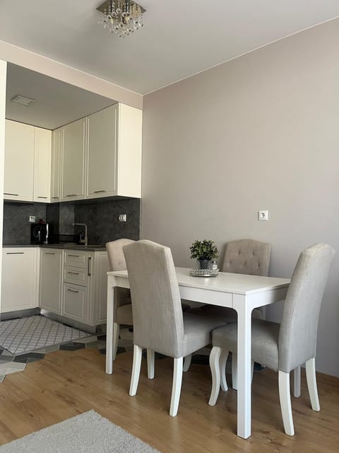 Kitchen or kitchenette, Dining area, oven, stove