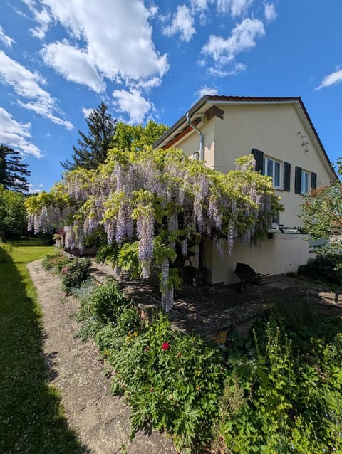 Property building, Garden, Garden view