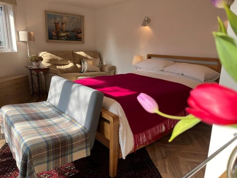 Luxury Detached Hideaway near town, beach and woods House in Wales