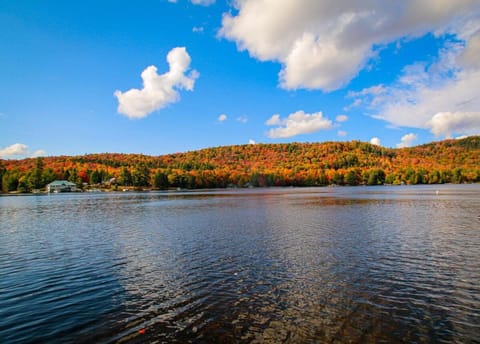 Iris - Big Moose Lakeside House in Webb