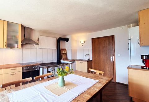 Kitchen or kitchenette, Photo of the whole room, Dining area, oven, stove