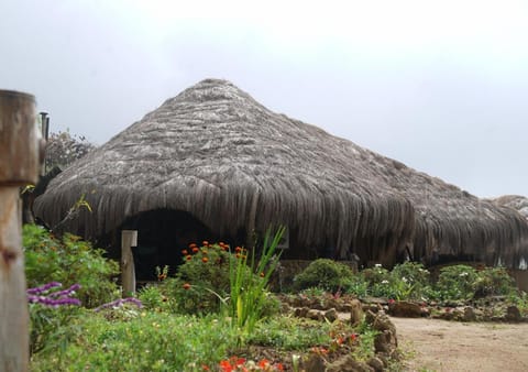 Property building, Restaurant/places to eat