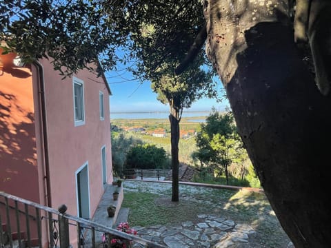 Property building, Natural landscape