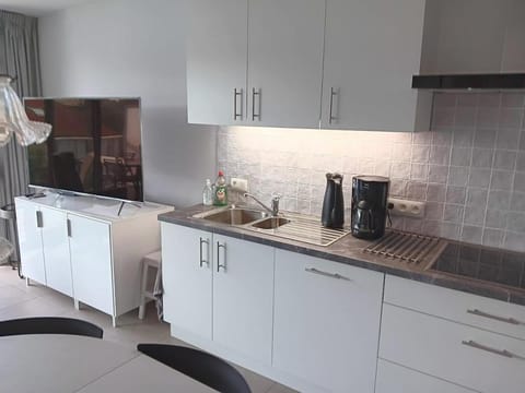 Kitchen or kitchenette, dishwasher