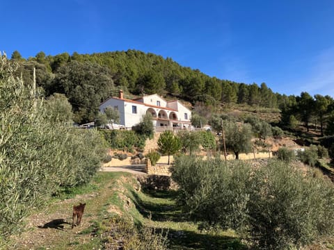 Property building, Natural landscape, Mountain view